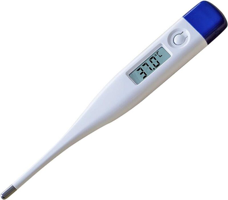 Thermometer Digital (With Alarm)